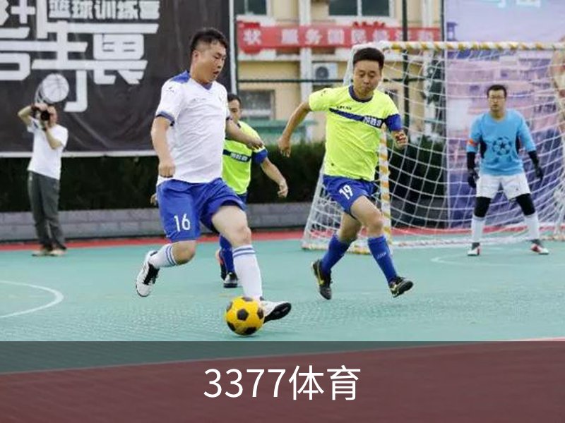3377体育简介